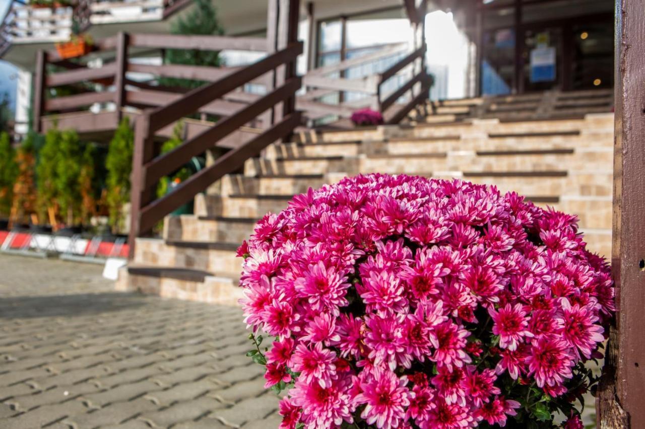 Hotel La Dolce Vita Zărneşti Екстериор снимка